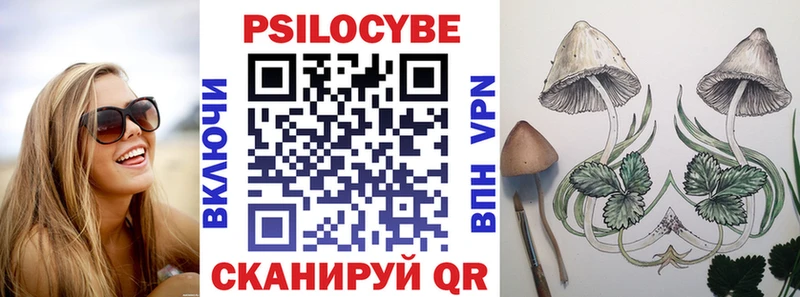 Галлюциногенные грибы Psilocybine cubensis  Купить  Иноземцево 